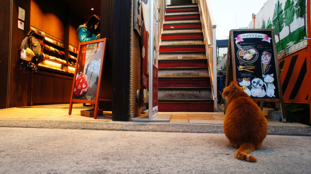 Ανακαλύπτοντας τις Εμπειρίες Ελλήνων στην Ιαπωνία μέσα από τα άρθα&nbsp;τους