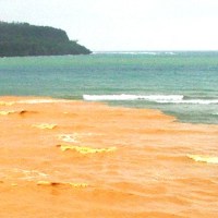 Ερευνητική Εμπειρία στους Υφάλους της Οκινάουα: Βιοποικιλότητα και Επίδραση Χερσαίας&nbsp;Ρύπανσης